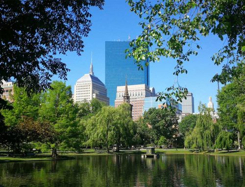 Understanding Trichology: Your Complete Guide to Hair Loss Solutions in Boston